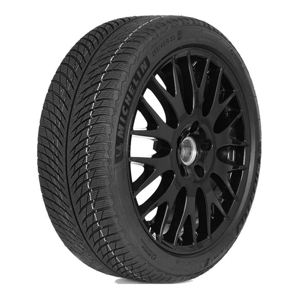 Мишелин  255/45/20  V 105 PILOT ALPIN 5 SUV  XL (BMW)